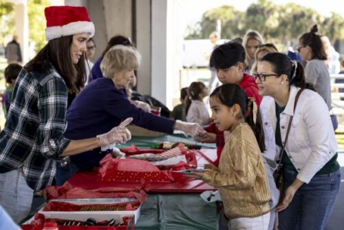 C.I.S. Cookies  Milk 2024 103