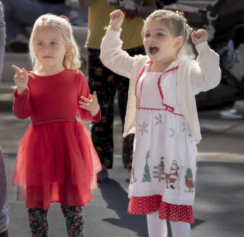 C.I.S. Cookies  Milk 2024 113