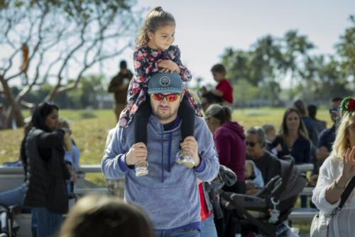 C.I.S. Cookies  Milk 2024 119