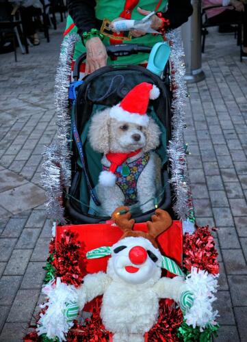 IMG 5562 easyHDR-default