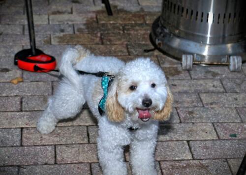 IMG 5572 easyHDR-default