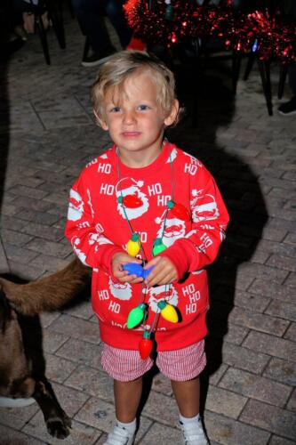 IMG 5620 easyHDR-default