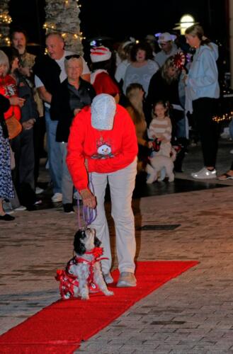 IMG 5627 easyHDR-default