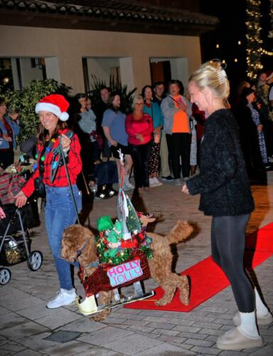 IMG 5637 easyHDR-default