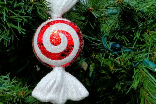 IMG 5302 easyHDR-default