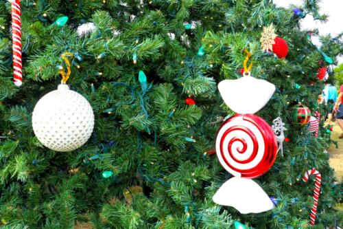 IMG 5304 easyHDR-default