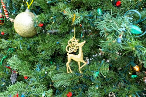 IMG 5307 easyHDR-default