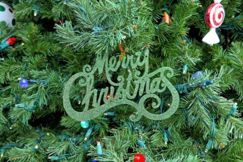 IMG 5308 easyHDR-default