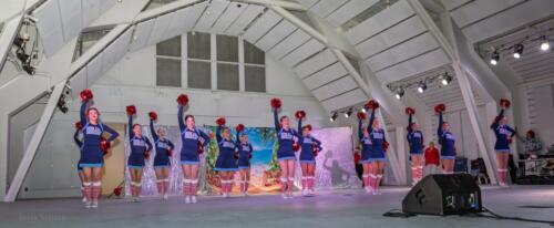 2025 Christmas Tree Lighting 197