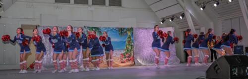 2025 Christmas Tree Lighting 201