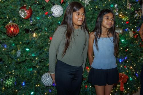 2025 Christmas Tree Lighting 228