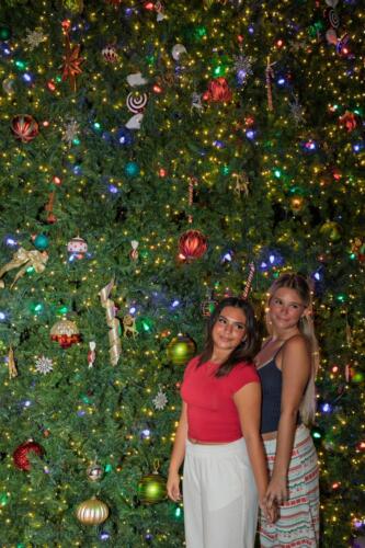 2025 Christmas Tree Lighting 234