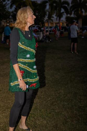 2025 Christmas Tree Lighting 29