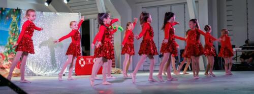 2025 Christmas Tree Lighting 67