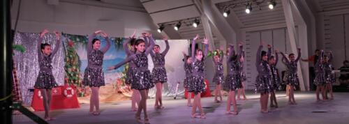 2025 Christmas Tree Lighting 83