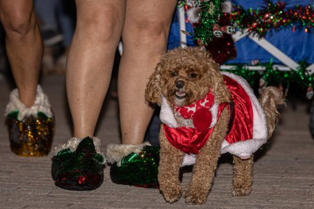 2022 Canine Pet Parade 107