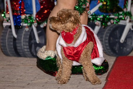 2022 Canine Pet Parade 108