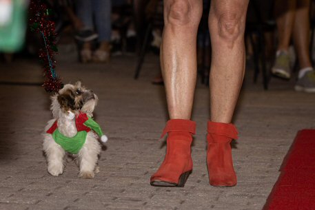 2022 Canine Pet Parade 111