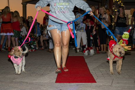 2022 Canine Pet Parade 117