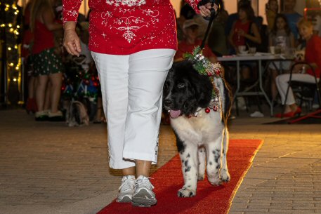 2022 Canine Pet Parade 120
