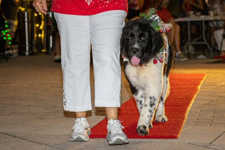 2022 Canine Pet Parade 121