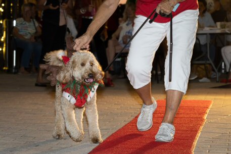 2022 Canine Pet Parade 127
