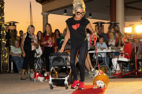 2022 Canine Pet Parade 129