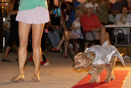 2022 Canine Pet Parade 154
