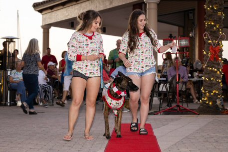 2022 Canine Pet Parade 16