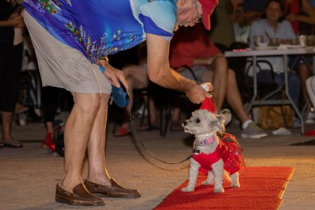 2022 Canine Pet Parade 160