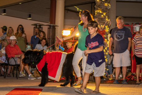 2022 Canine Pet Parade 165