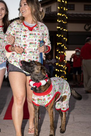 2022 Canine Pet Parade 17