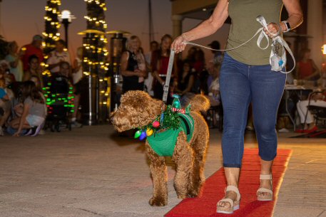 2022 Canine Pet Parade 170