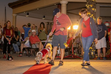 2022 Canine Pet Parade 171