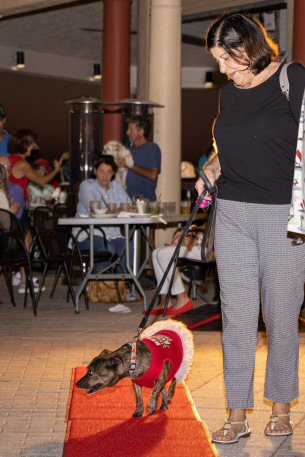2022 Canine Pet Parade 174
