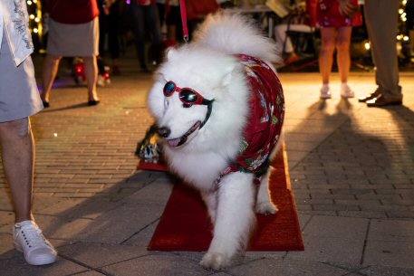 2022 Canine Pet Parade 176