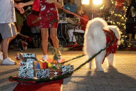2022 Canine Pet Parade 179