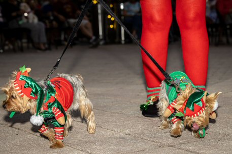 2022 Canine Pet Parade 22