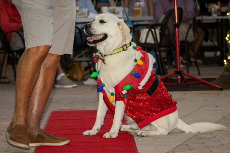 2022 Canine Pet Parade 24