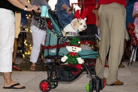 2022 Canine Pet Parade 40