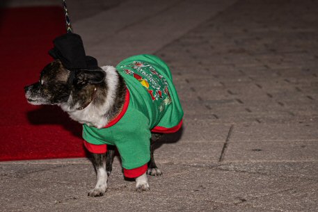 2022 Canine Pet Parade 51