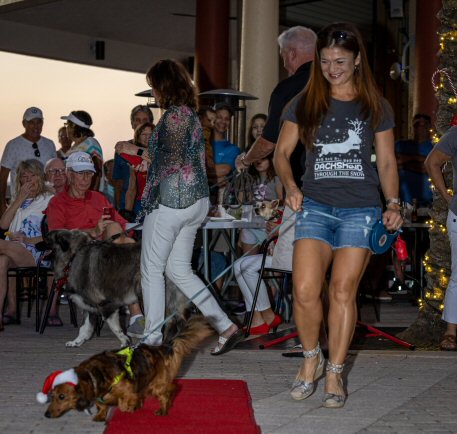 2022 Canine Pet Parade 57
