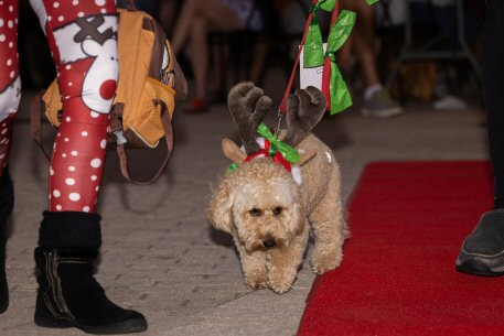 2022 Canine Pet Parade 66