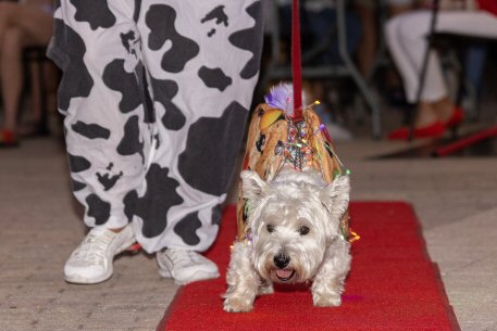 2022 Canine Pet Parade 69