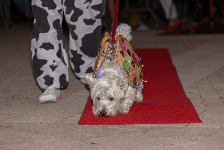 2022 Canine Pet Parade 70