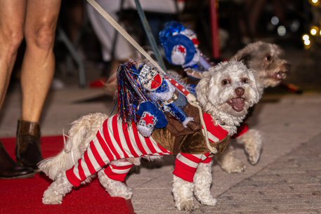 2022 Canine Pet Parade 74