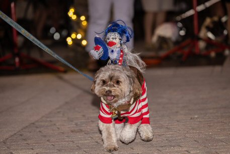 2022 Canine Pet Parade 76