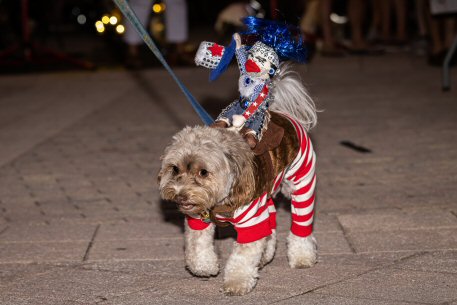 2022 Canine Pet Parade 77