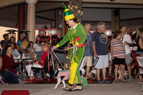 2022 Canine Pet Parade 91
