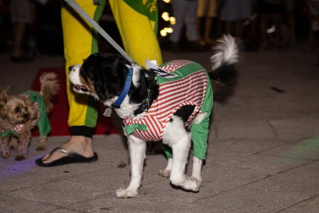 2022 Canine Pet Parade 93